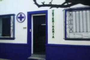 Veterinaria Caa Guazu