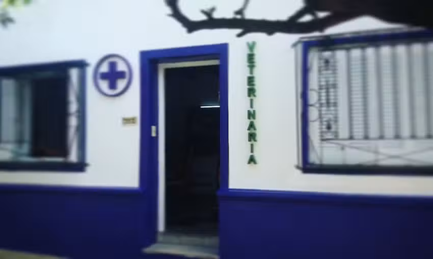 Veterinaria Caa Guazu