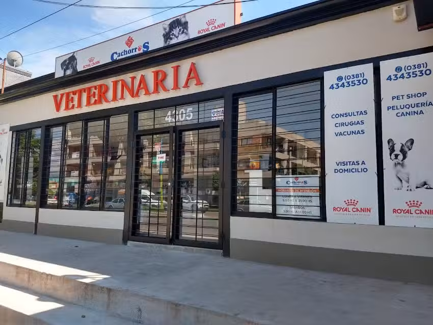 VETERINARIA CACHORROS