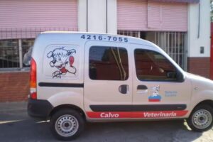 Veterinaria Calvo a Domicilio en Berazategui