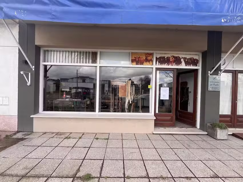 Veterinaria CAMPOBASSO