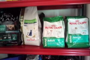 veterinaria carnerillo