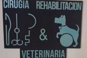Veterinaria Castan cirugia y rehabilitación