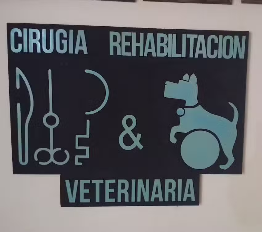 Veterinaria Castan cirugia y rehabilitaci&oacute;n