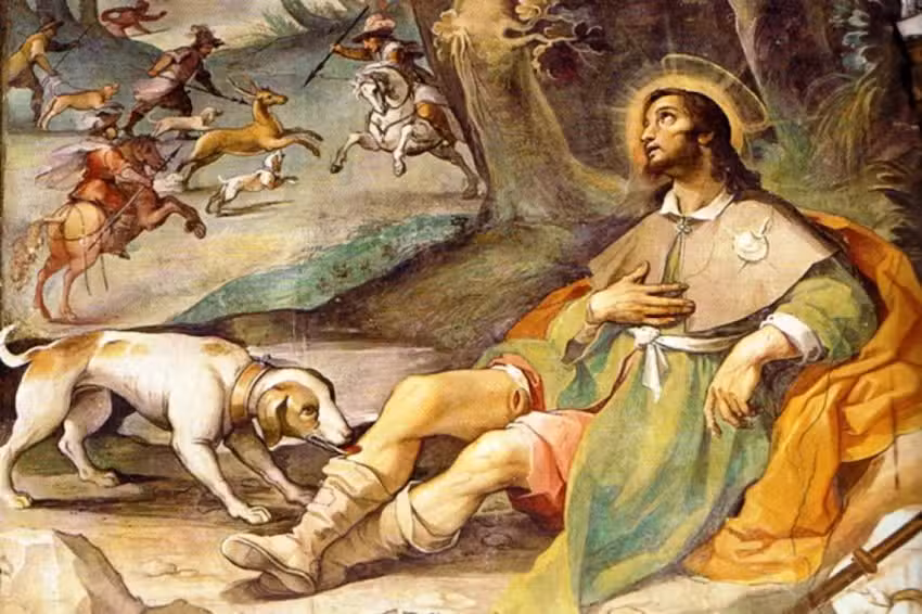 Veterinaria Cat &ndash; Dog