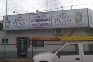 Veterinaria Catt&aacute;neo