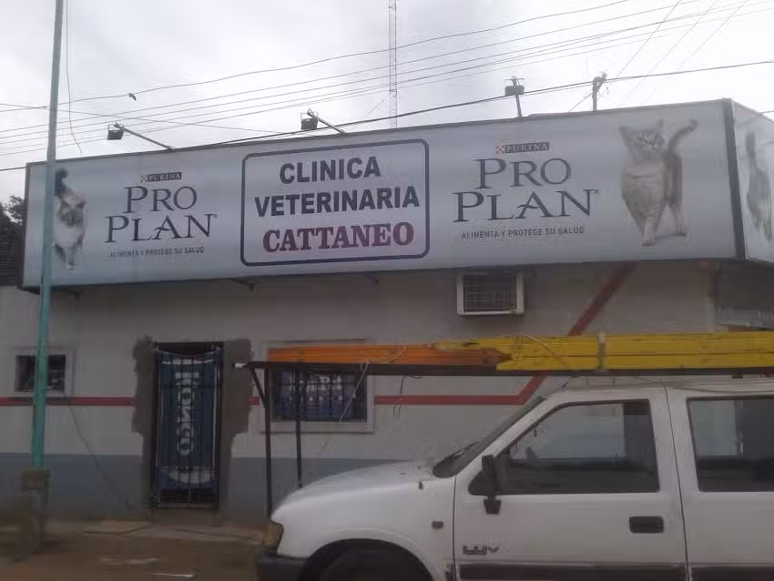 Veterinaria Catt&aacute;neo
