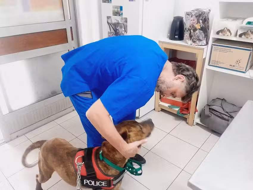 Veterinaria CEMEV