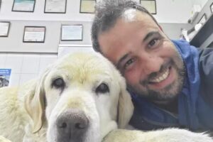 Veterinaria Centro Mozotegui