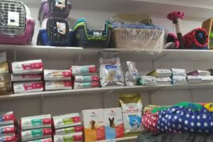 veterinaria chatran boutique dulcinea