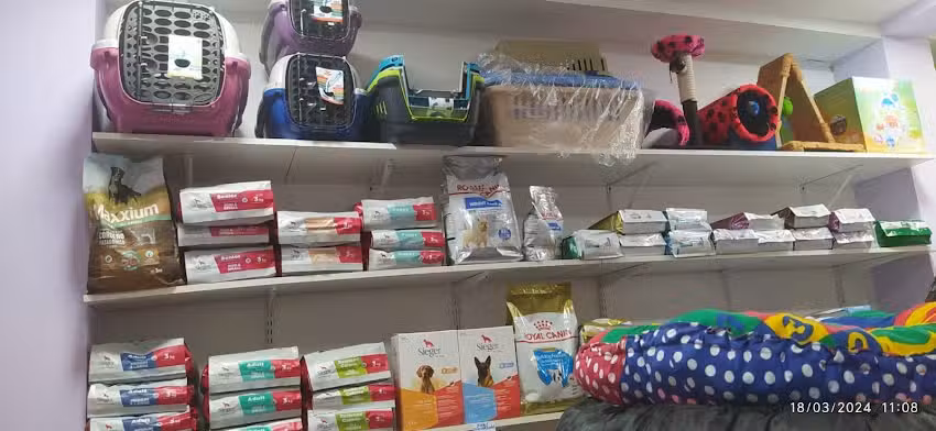 veterinaria chatran boutique dulcinea