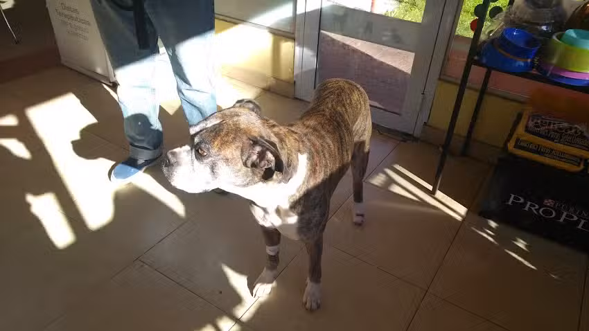 Veterinaria Ciudad Jard&iacute;n