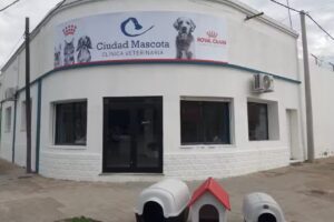 Veterinaria Ciudad Mascota