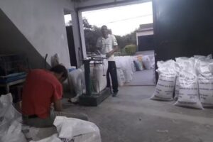 Veterinaria Clínica de Grandes y Pequeños Animales