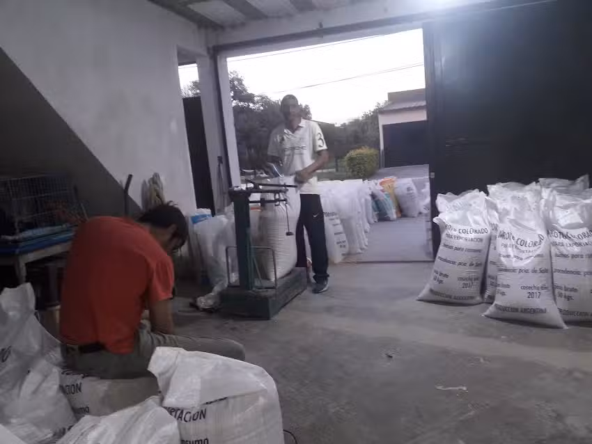 Veterinaria Cl&iacute;nica de Grandes y Peque&ntilde;os Animales