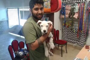 Veterinaria cl&iacute;nica y oftalmolog&iacute;a San Roque