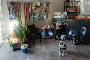 Veterinaria Cobo Vet