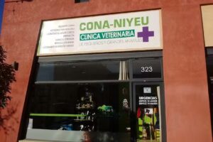 Veterinaria Cona Niyeu