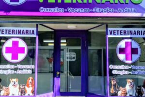 Veterinaria Constituyentes