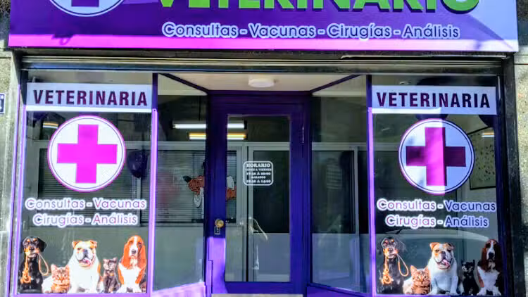 Veterinaria Constituyentes