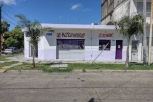 Veterinaria ConsulVet
