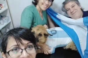 veterinaria cordoba