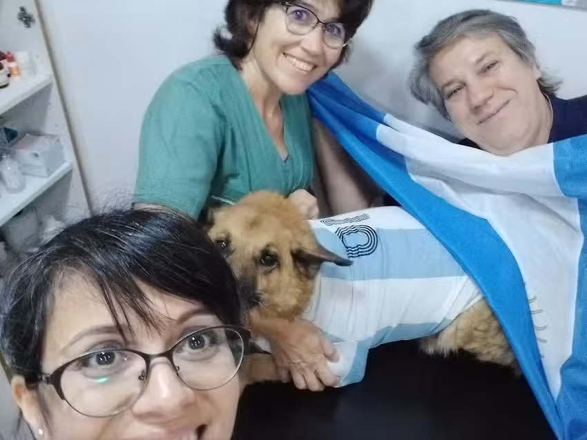 veterinaria cordoba