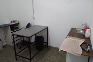 VETERINARIA CPG Como perro y gato