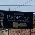 Veterinaria Cruz Violeta