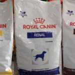 Veterinaria Cuatro Patas