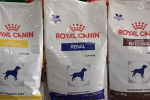 Veterinaria Cuatro Patas