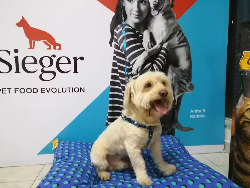 Veterinaria CUB Tienda de Mascotas &ndash; Suc. Gauss