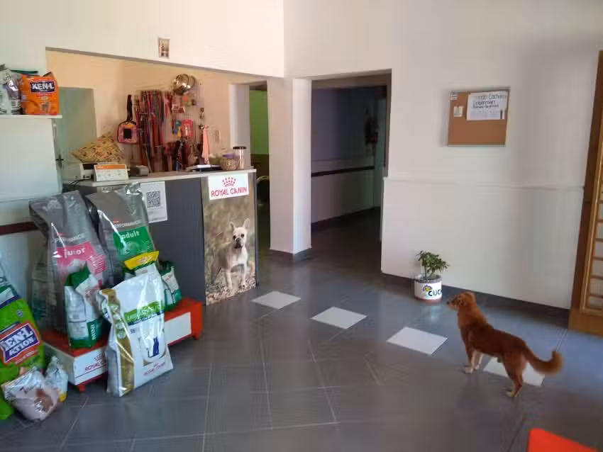 Veterinaria Cucho