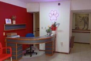 Veterinaria Culzoni &ndash; Vallejos