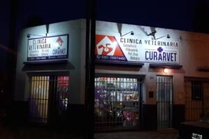 Veterinaria Curarvet