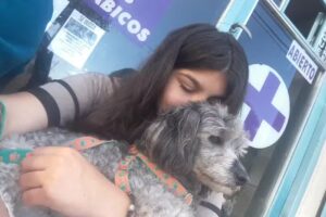 VETERINARIA DARDO ROCHA