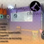 Veterinaria Darwin