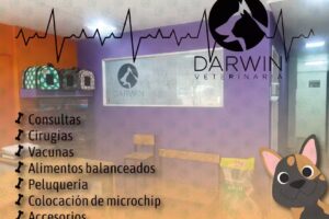 Veterinaria Darwin