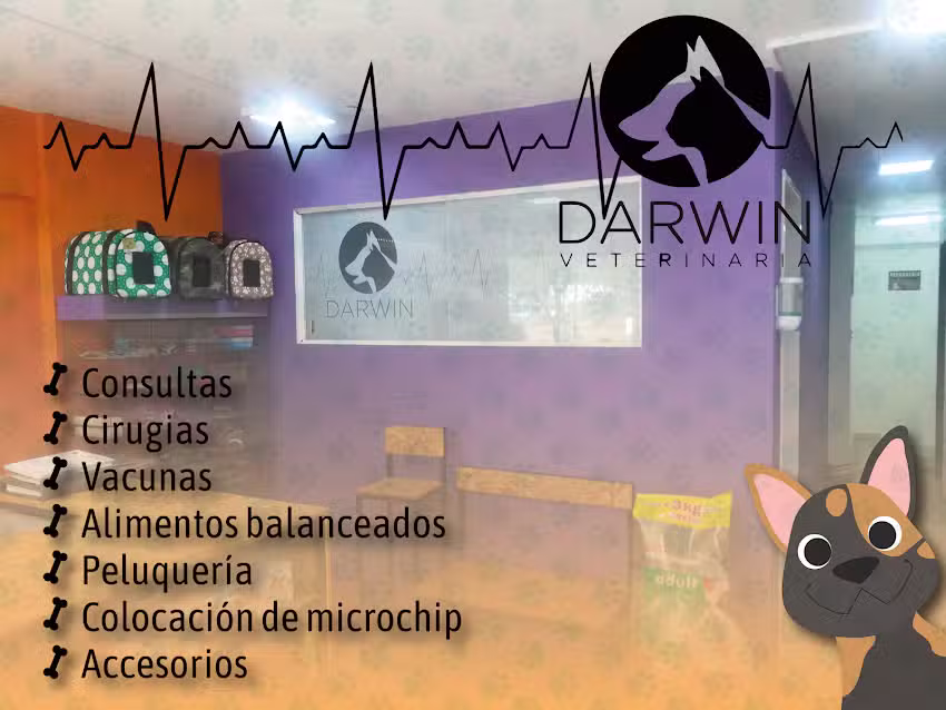Veterinaria Darwin