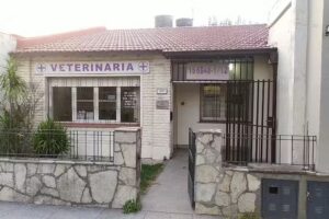 Veterinaria De La Araucaria