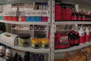 Veterinaria De La H&iacute;pica