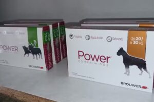 Veterinaria de la Plaza