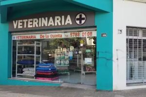 Veterinaria De La Quinta