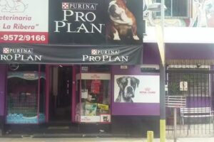 Veterinaria De La Ribera. TIGRE