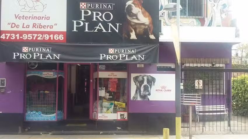 Veterinaria De La Ribera. TIGRE