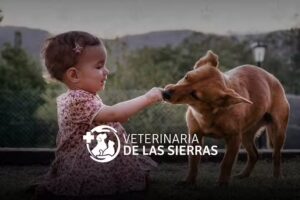 Veterinaria de las Sierras