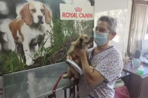 Veterinaria de los Andes