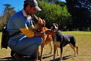 Veterinaria Dejando Huellas