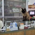 Veterinaria del Centro