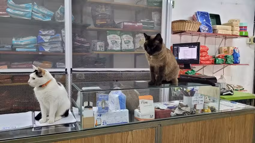 Veterinaria del Centro